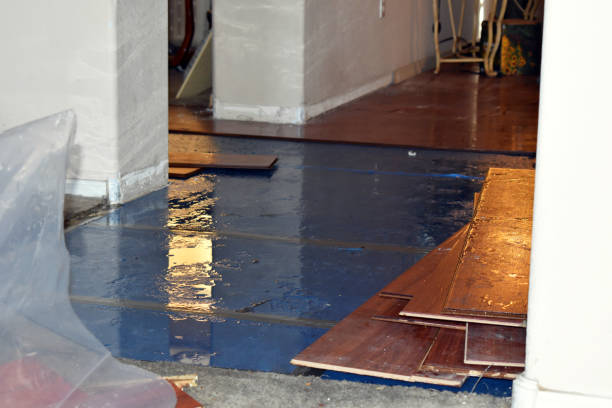Professional Crawl Space Water Removal technician working in Waite, ME